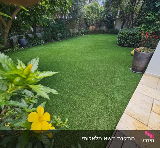 דשא ירוק, עציצים עם פרחים, שיחים ועצים בגינה